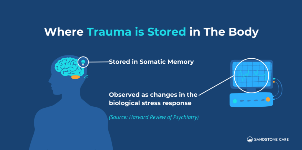 Trauma is stored in the mind and body